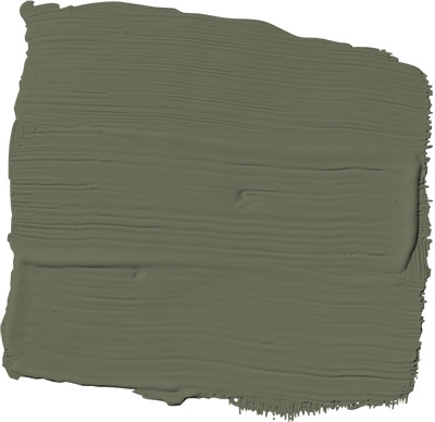 all about olive