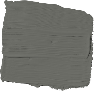 armory PPG1009-6