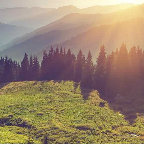 Look to Nature - Choosing Paint Colors From The World Around Us