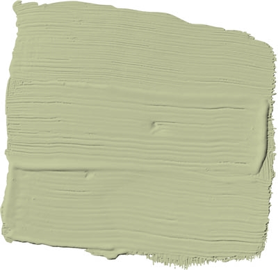 bahia grass