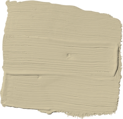 beach dune