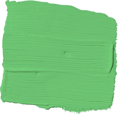 bermuda grass