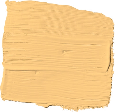chunk of cheddar PPG1204-5