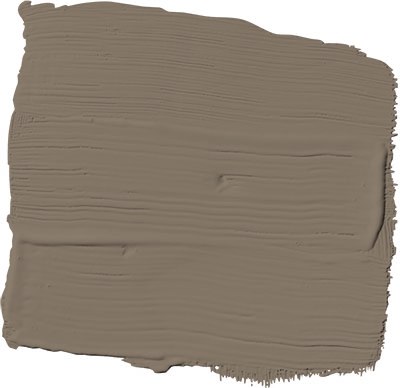 clam shell PPG1023-6