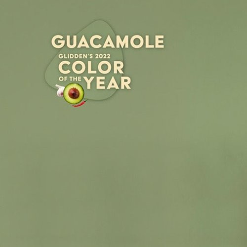 2022 Color Of The Year: Guacamole