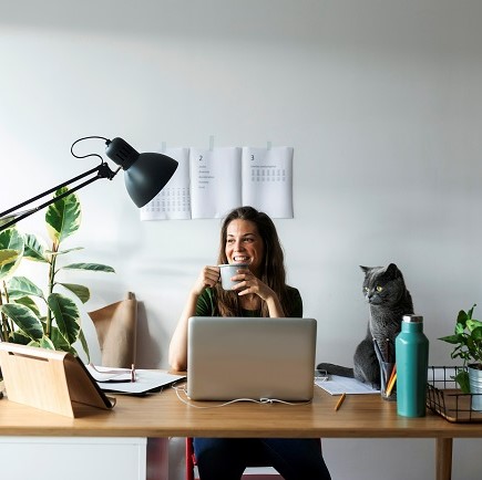 Wall Colors For Online Meetings