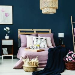 Serene Bedroom Paint Colors
