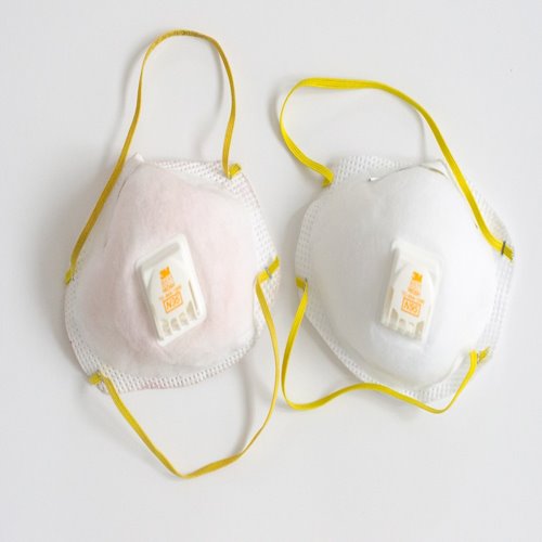 Particulate Mask