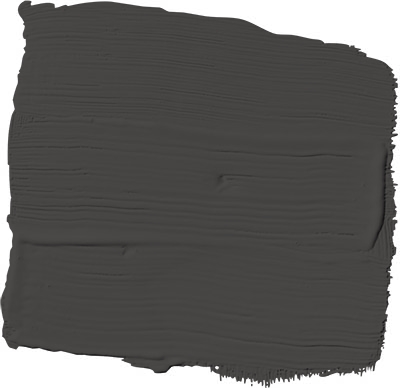 onyx PPG1011-7