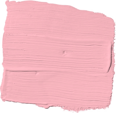 powder rose
