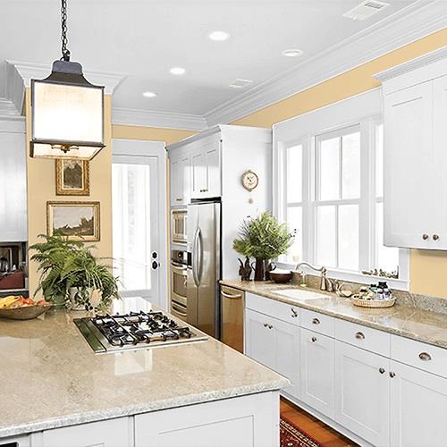 Antique Cream PPG12-11