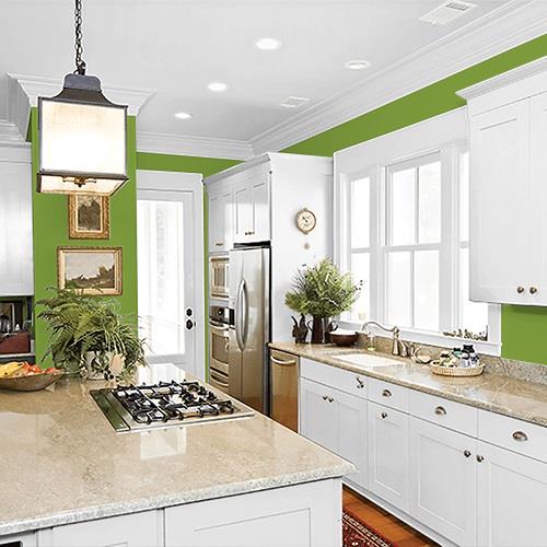 Antique Moss PPG1222-7