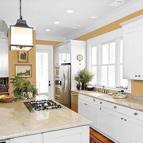 Bleached Maple PPG1089-5