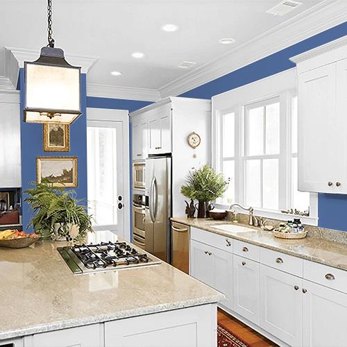 Blue Odyssey PPG1166-6