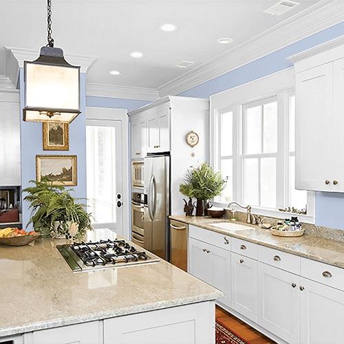 Blue Opal PPG1166-3