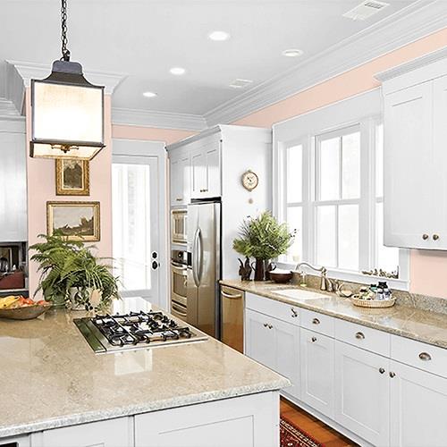 Blush Beige PPG1070-2