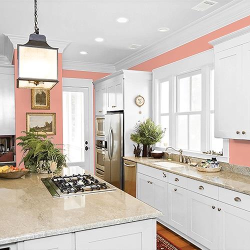 Coral Blush PPG1191-4