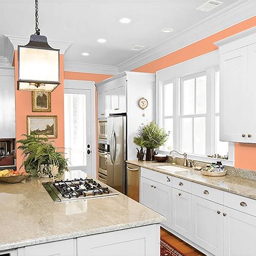 Coral Silk PPG1195-5