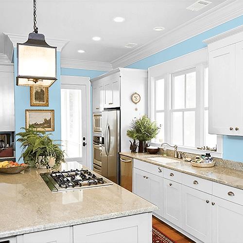 Flemish Blue PPG1238-3