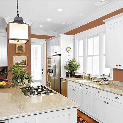 Foxfire Brown PPG1069-6