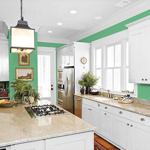 Garden Mint PPG1226-5