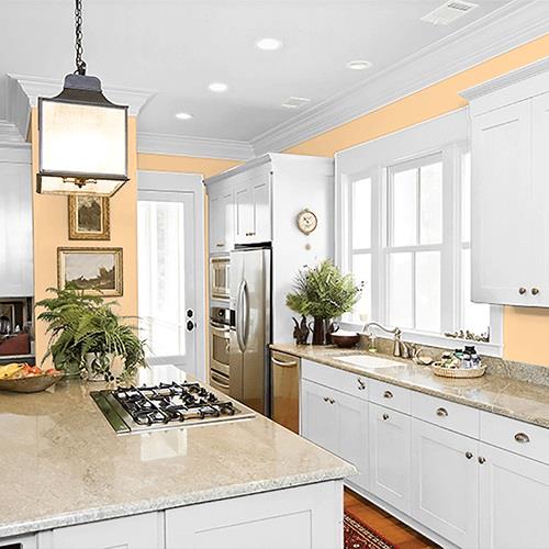 Ginger Peach PPG1203-4