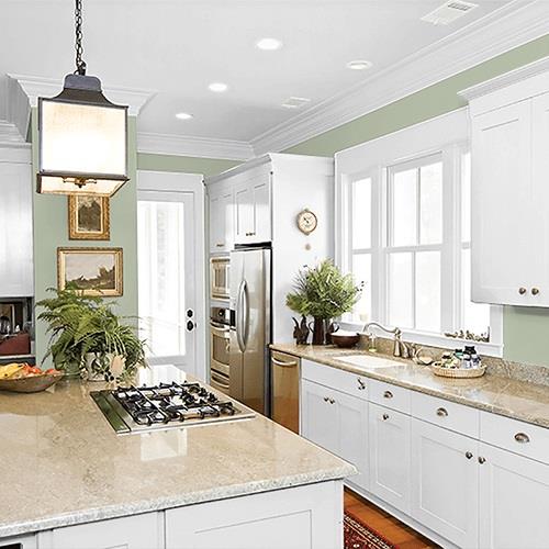 Light Sage PPG1124-4