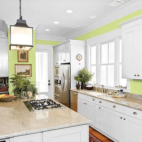 Lime Splash PPG1217-5