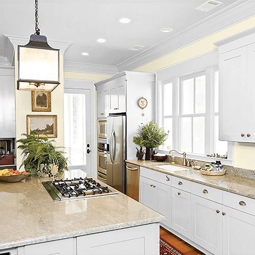 Mesa Beige PPG1092-2