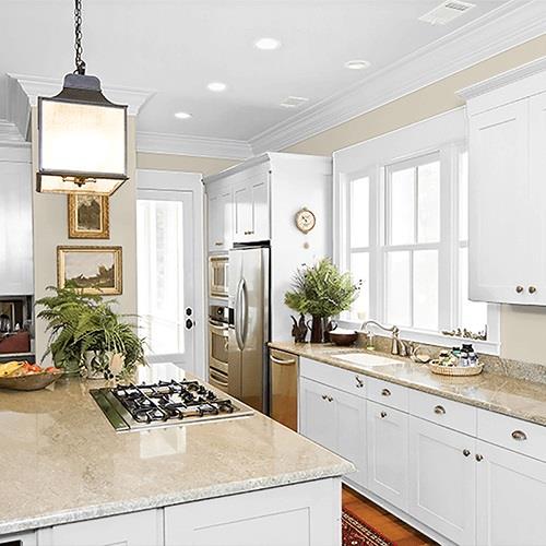 Moth Gray PPG1024-4