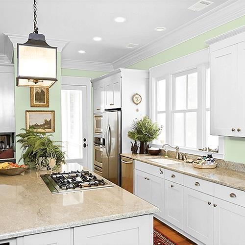 Pale Moss Green PPG1121-3