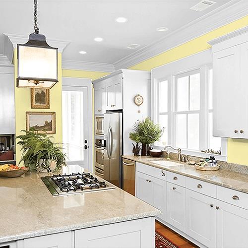 Pineapple Delight PPG1215-3