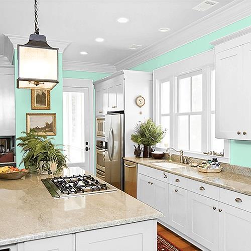 Wintergreen Mint PPG1229-2