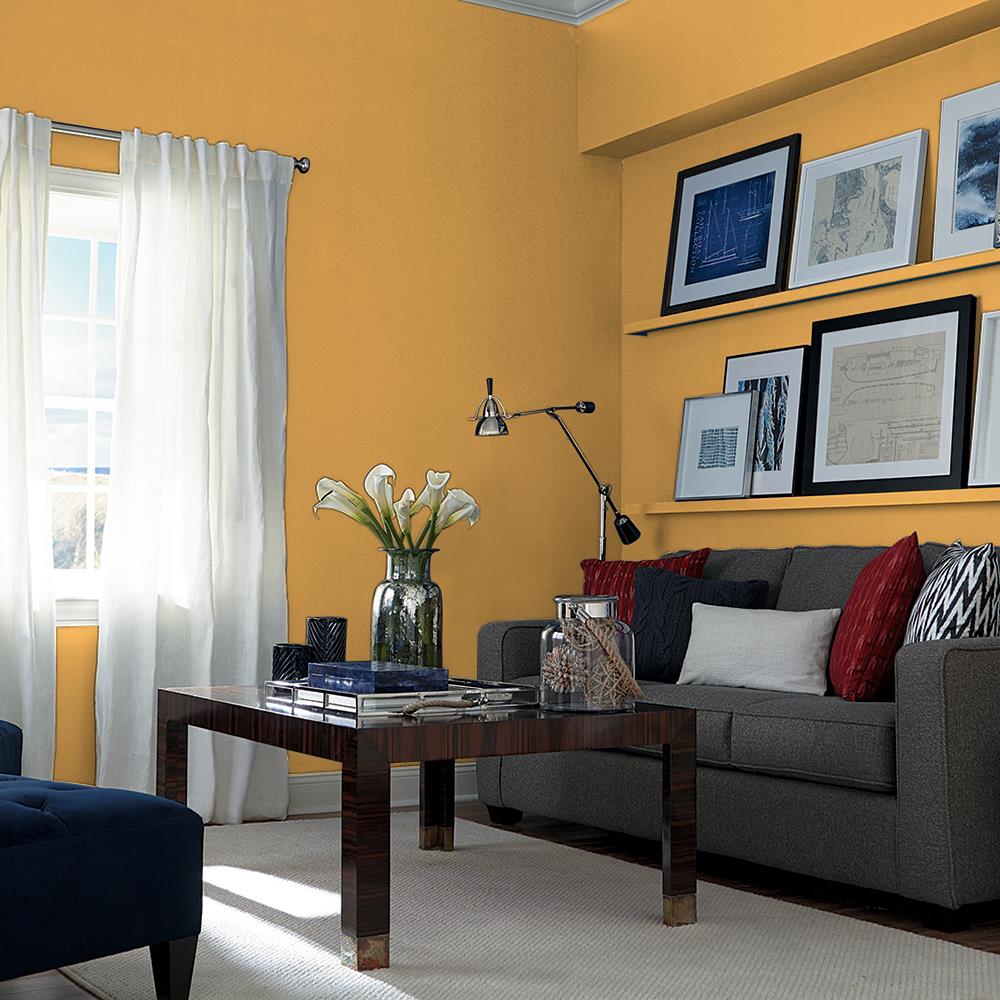 Allspice PPG1207-6