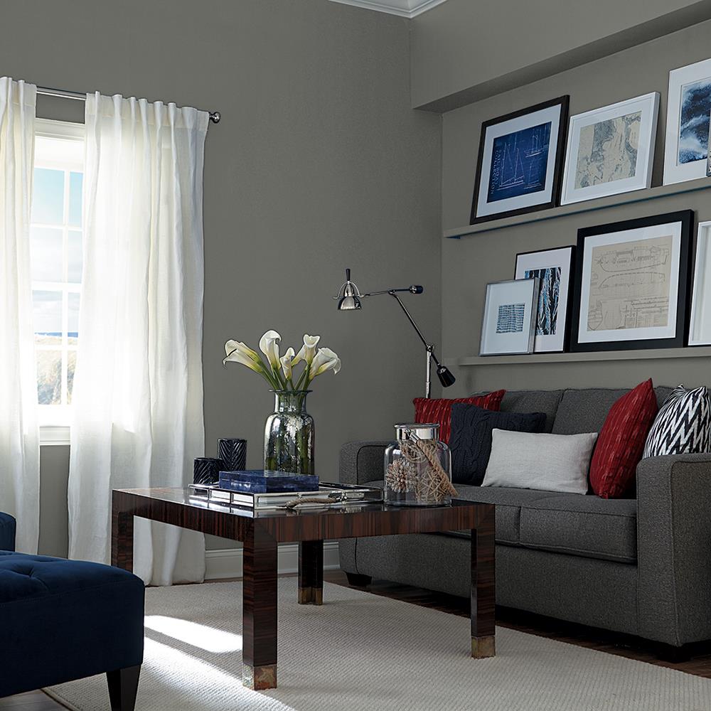 Armory PPG1009-6