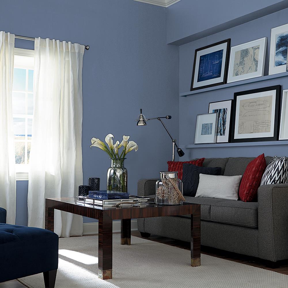 Blue Cloud PPG1164-6