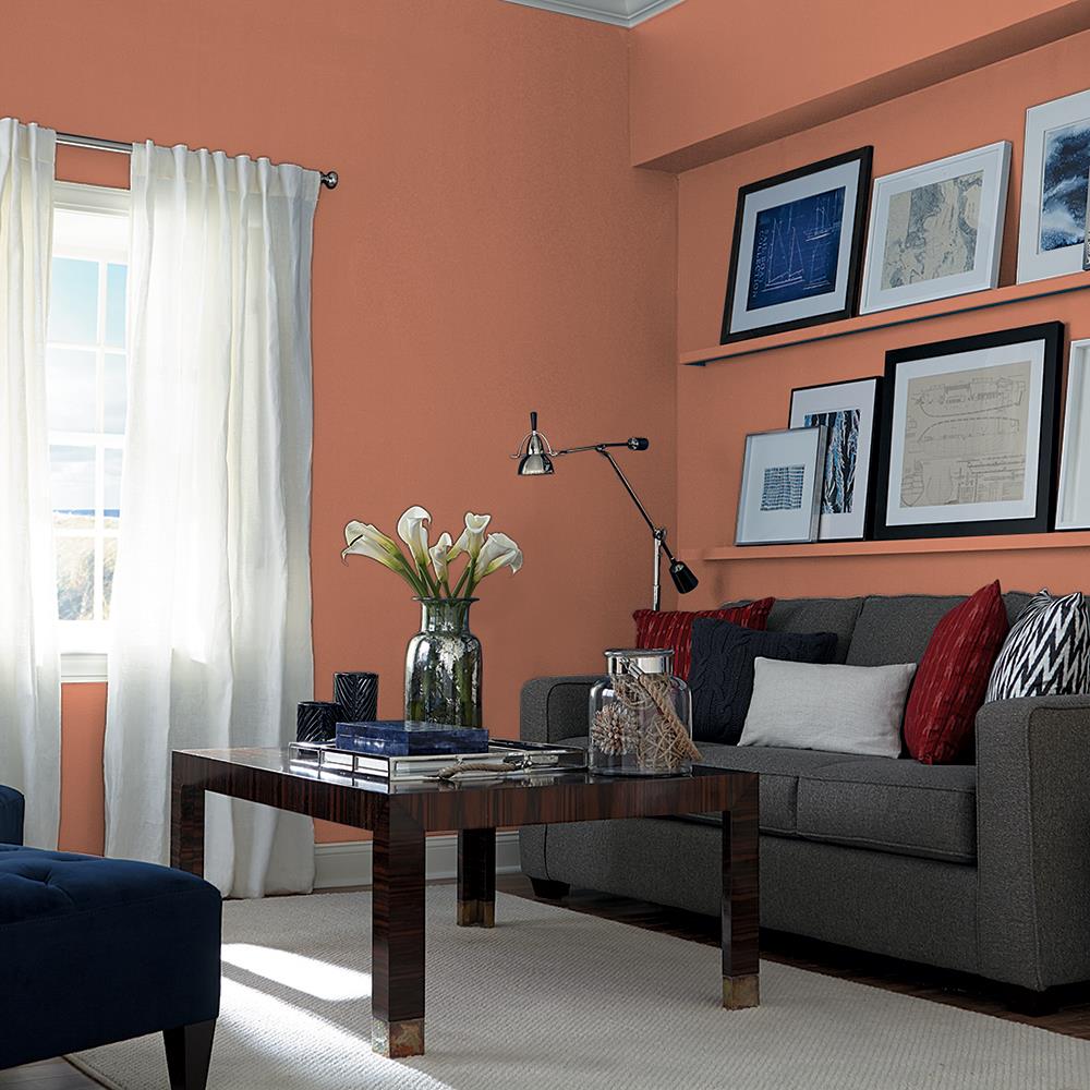 Copper Beech PPG1067-5