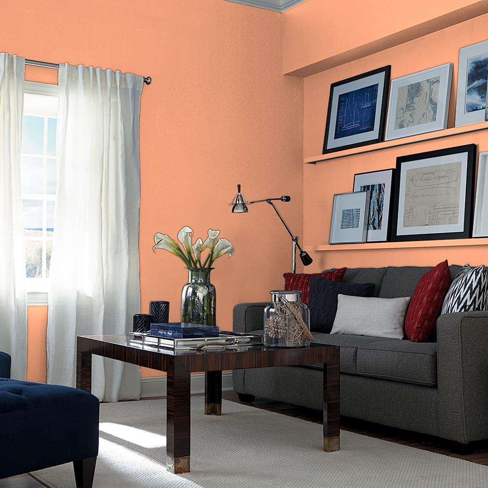Coral Silk PPG1195-5