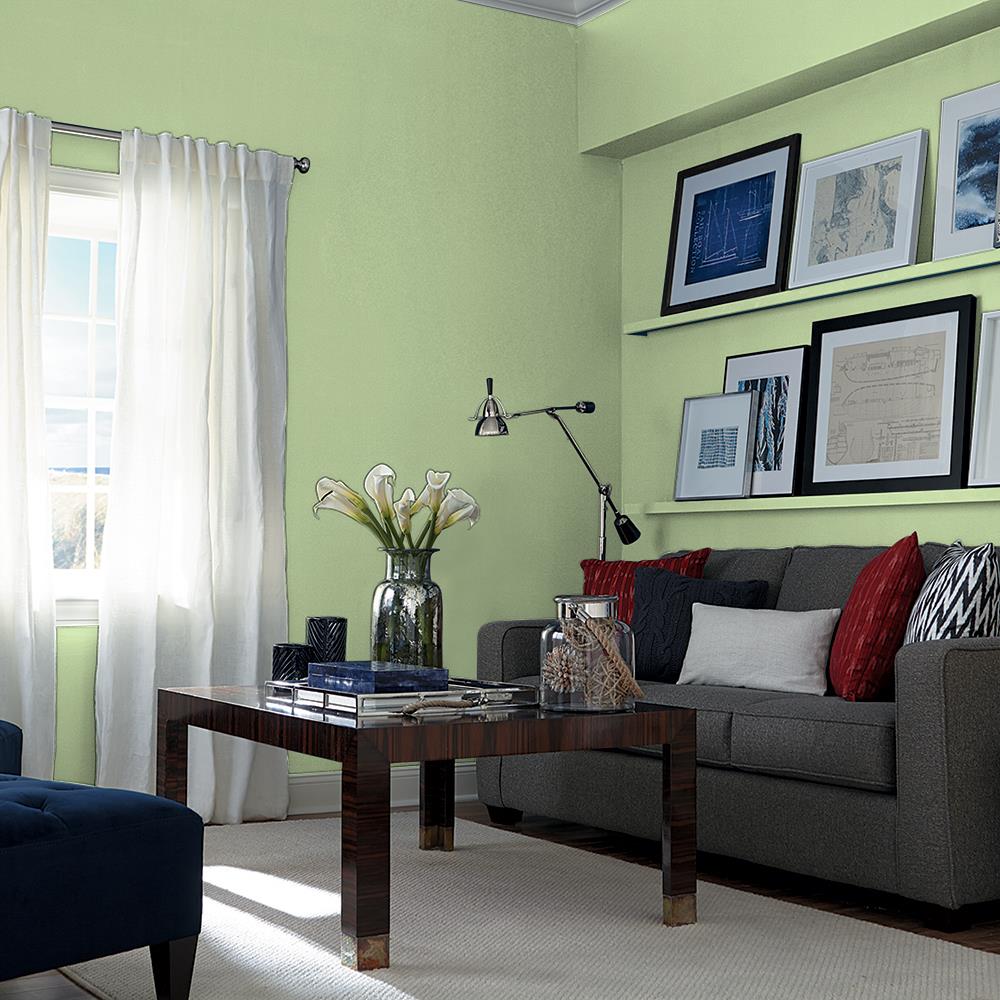 Harmonious PPG1120-5