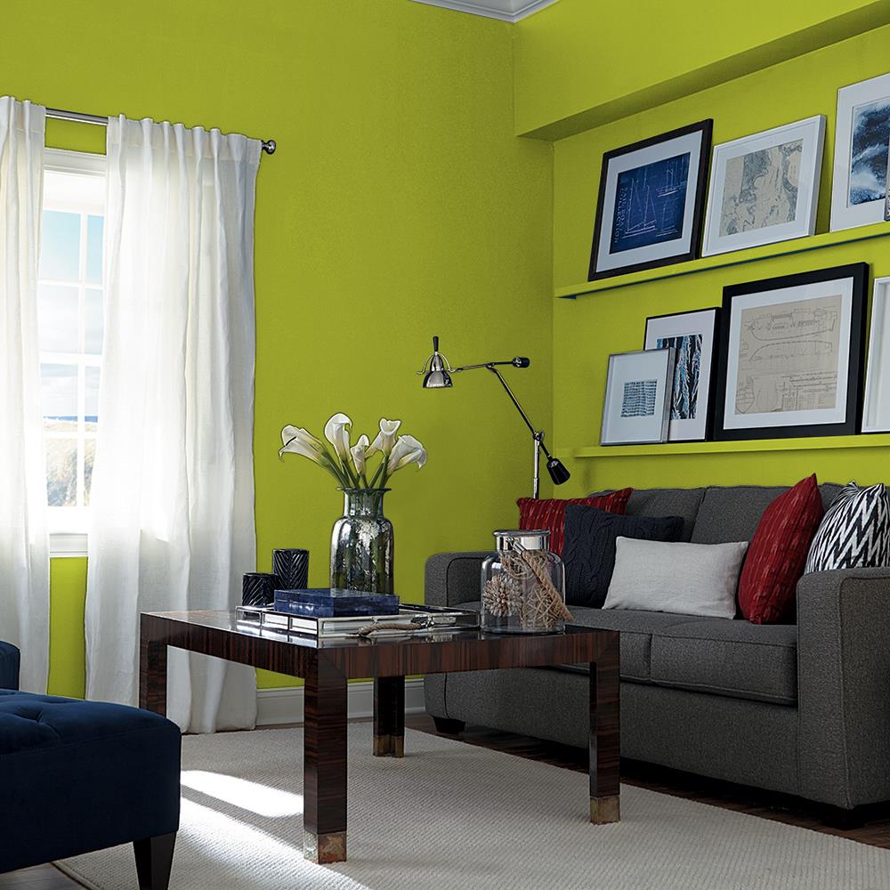 Lichen PPG1219-7