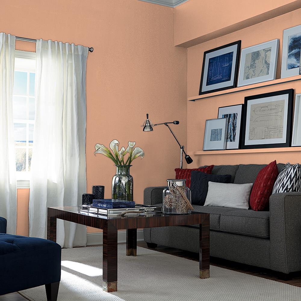 Orange Maple PPG1069-4
