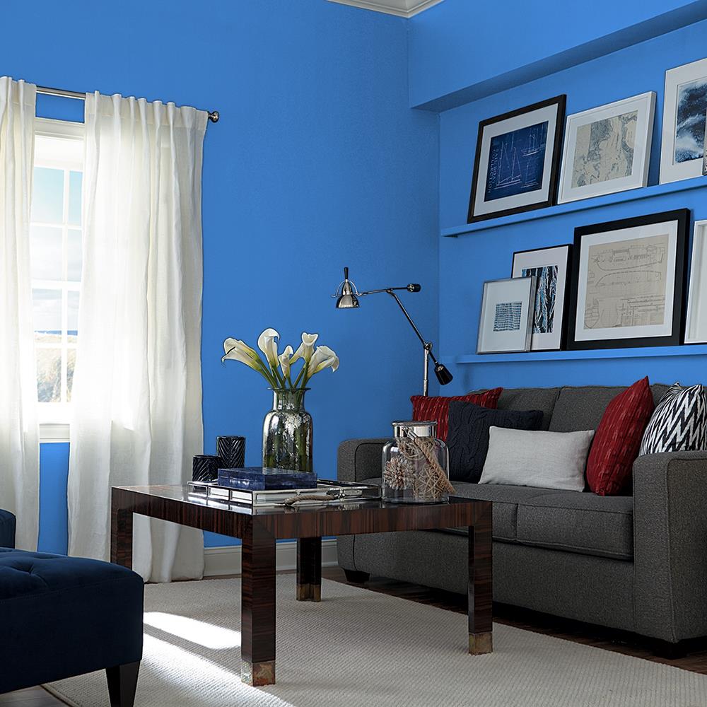 Royal Plume PPG1243-6