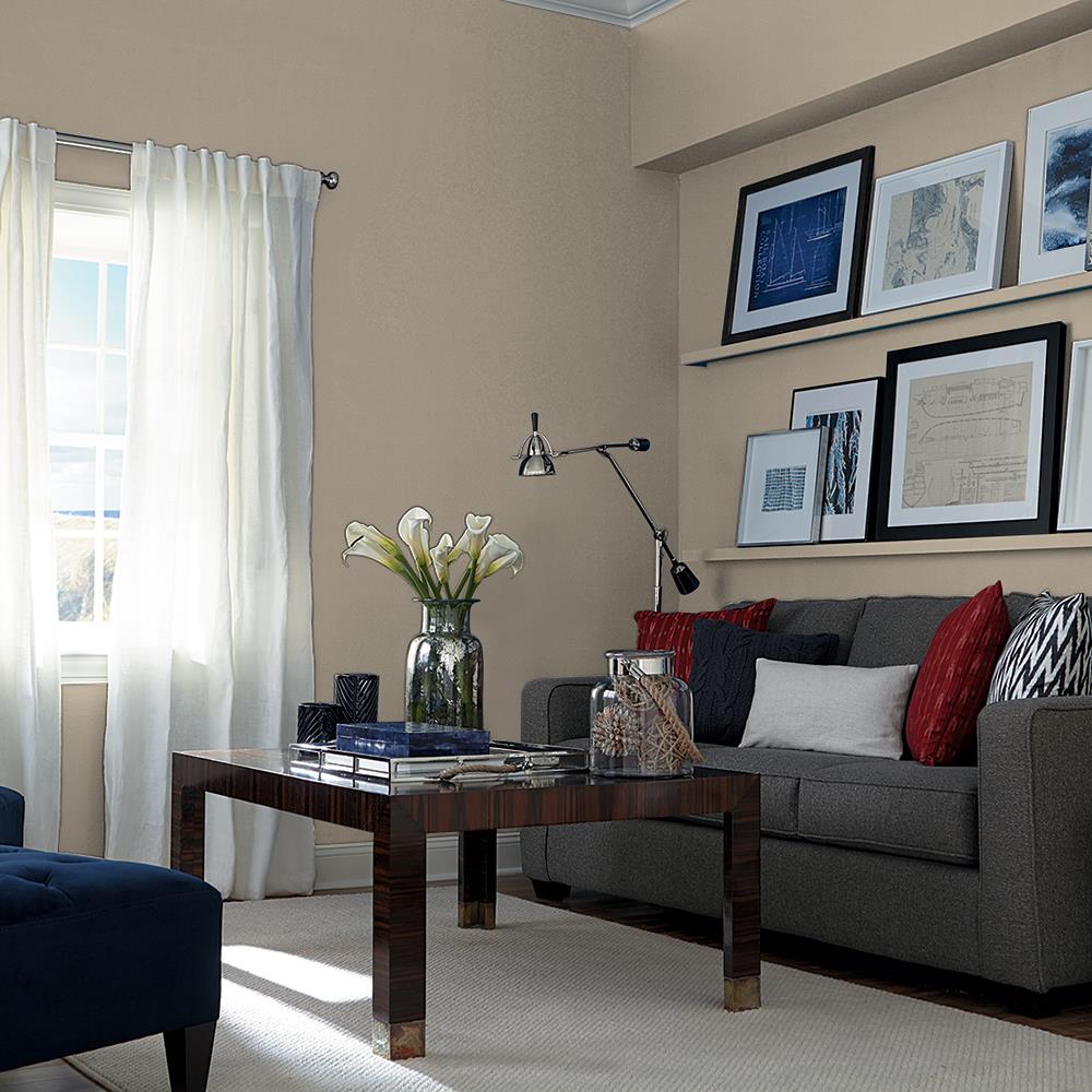 Stone Gray PPG1023-5