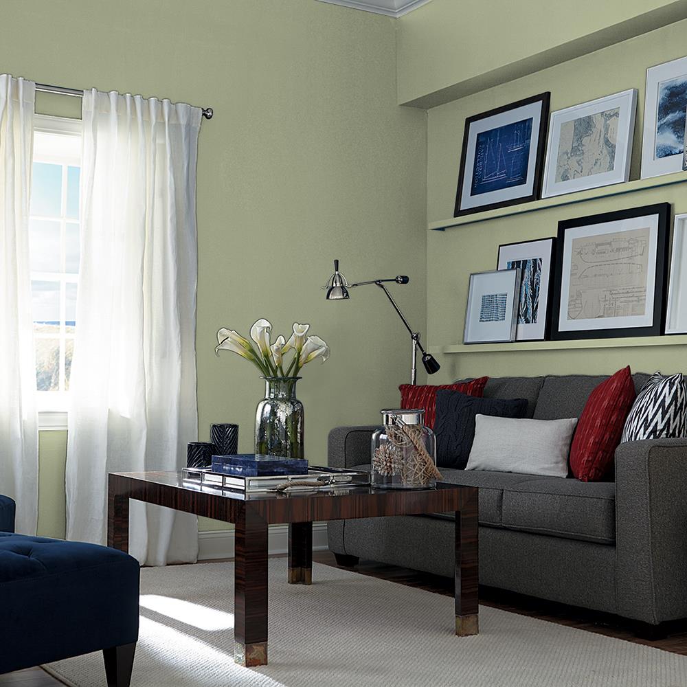 Zebra Grass PPG1126-5