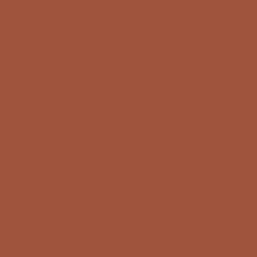 Ancient Copper PPG1063-7