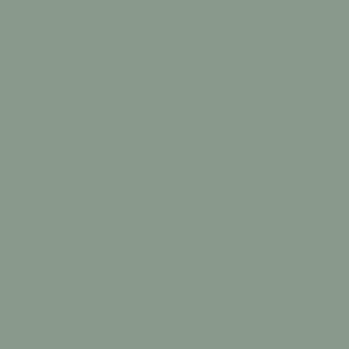 Birch Forest PPG1134-5