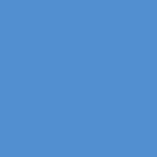 Blue Dart PPG1243-5