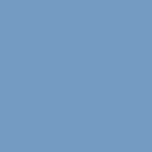 Blue Promise PPG1161-4