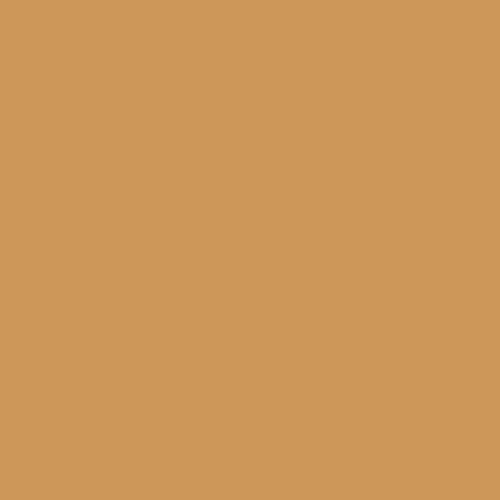 Bran Muffin PPG16-14