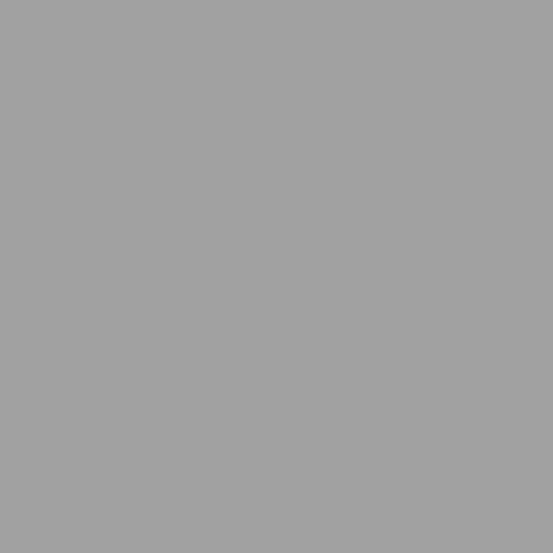Burnished Blade PPG0995-5